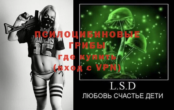 бошки Кинешма